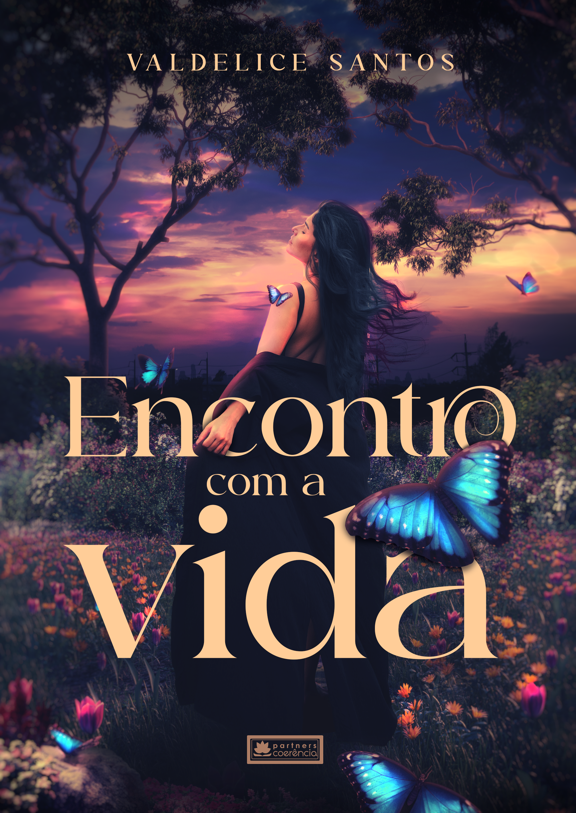 Encontro com a vida - Drama/Romance - Valdelice Santos CaravelaLivrosDoBrasil