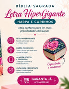 Biblia Sagrada - LETRA HIPERGIGANTE - HARPA E CARINHOS