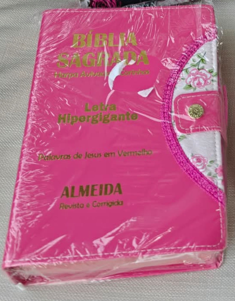 Biblia  Sagrada e caneta – Letra HiperGigante