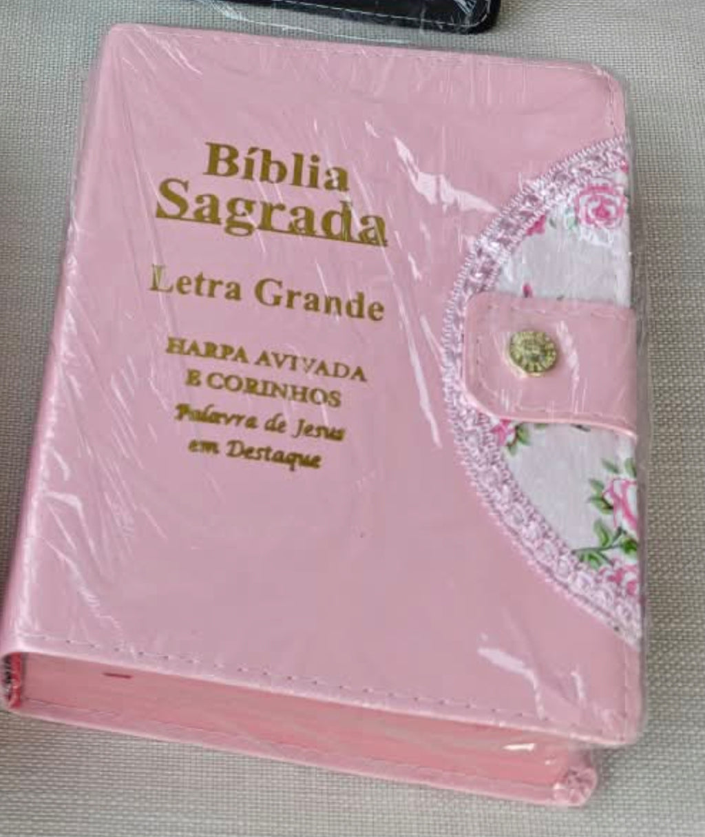 Biblia Sagrada - Gigante Botao Rosa e Caneta | ARC - João Ferreira de Almeida- Harpa e Índice por Cores - Acompanha caneta